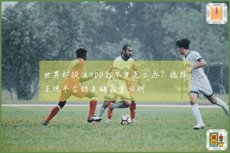 世界杯投注app打不开怎么办？选择正规平台的关键因素分析