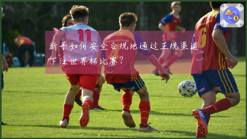 新手如何安全合规地通过正规渠道下注世界杯比赛？