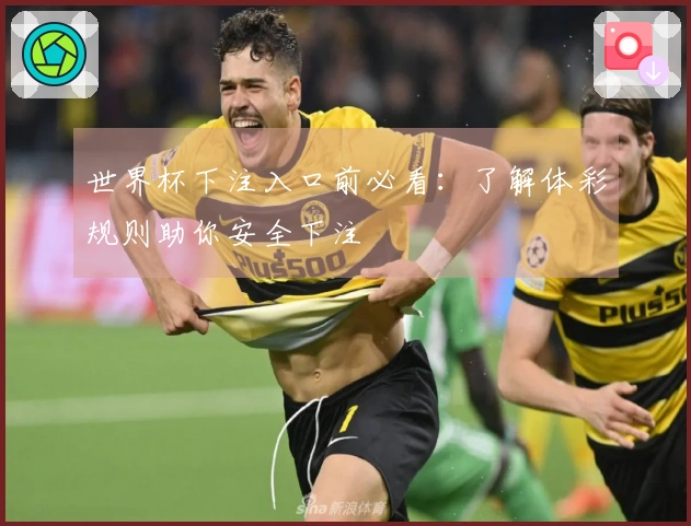 世界杯下注入口前必看：了解体彩规则助你安全下注