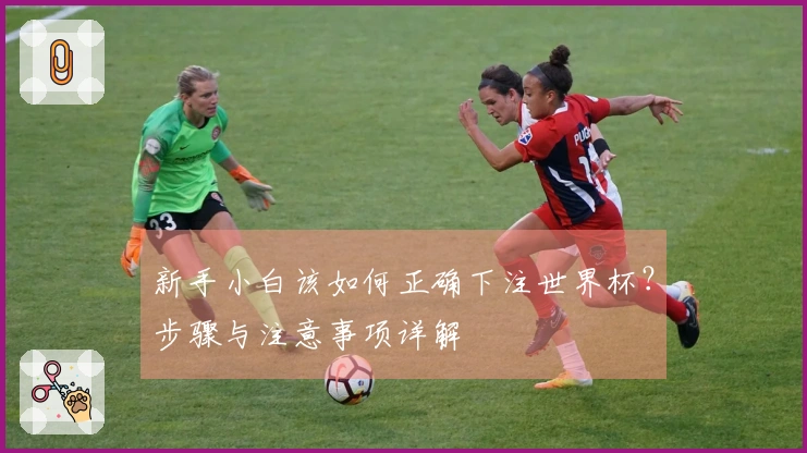 新手小白该如何正确下注世界杯？步骤与注意事项详解