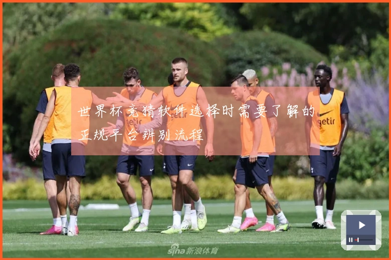 世界杯竞猜软件选择时需要了解的正规平台辨别流程
