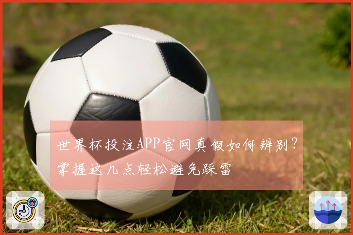 世界杯投注APP官网真假如何辨别？掌握这几点轻松避免踩雷