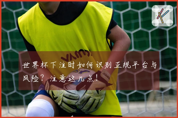 世界杯下注时如何识别正规平台与风险？注意这几点！