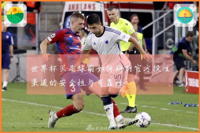 世界杯买足球前如何辨别官方投注渠道的安全性与可靠性