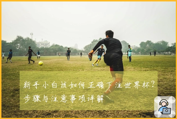 新手小白该如何正确下注世界杯？步骤与注意事项详解
