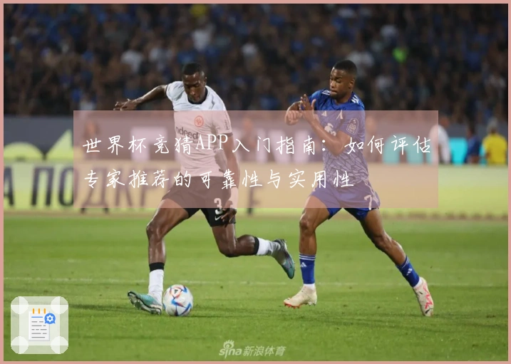 世界杯竞猜APP入门指南：如何评估专家推荐的可靠性与实用性