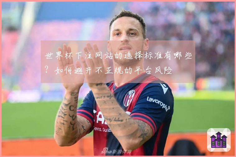 世界杯下注网站的选择标准有哪些?如何避开不正规的平台风险