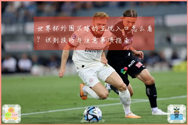 世界杯外围买球的正规入口怎么看？识别技巧与注意事项指南