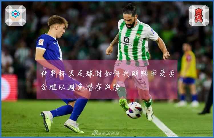 世界杯买足球时如何判断赔率是否合理以避免潜在风险