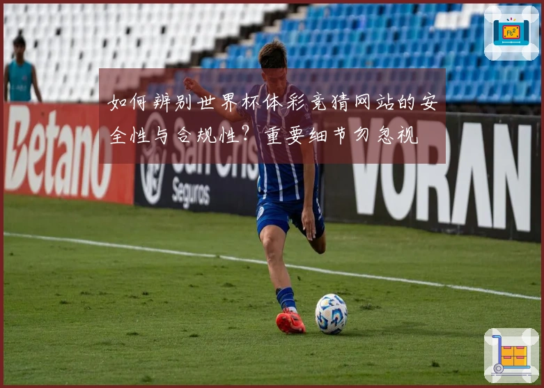如何辨别世界杯体彩竞猜网站的安全性与合规性？重要细节勿忽视