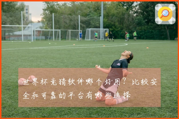 世界杯竞猜软件哪个好用？比较安全和可靠的平台有哪些选择