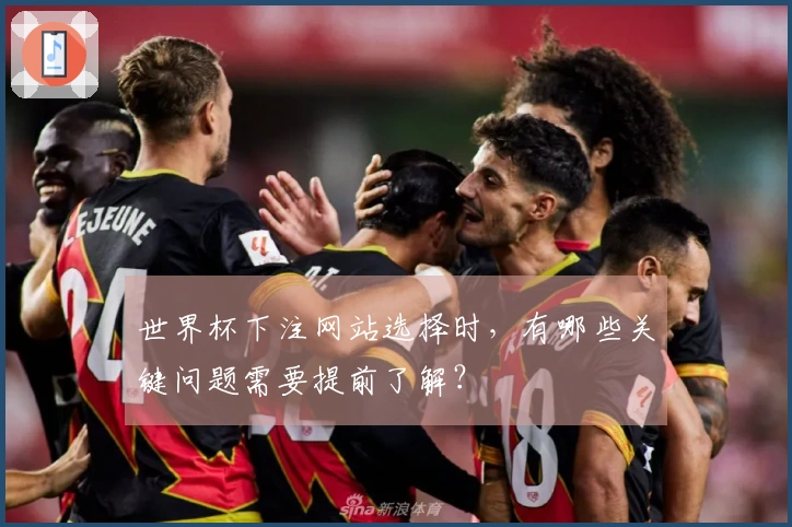 世界杯下注网站选择时，有哪些关键问题需要提前了解？