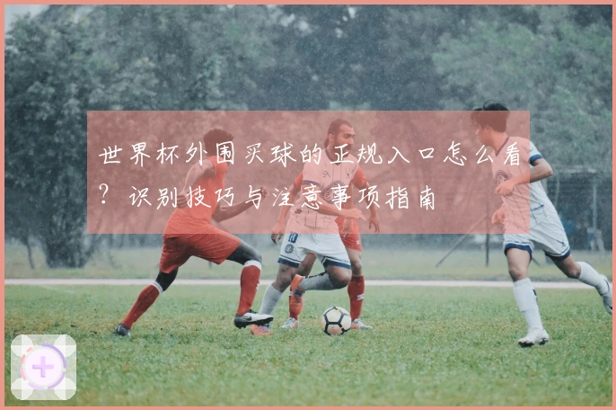 世界杯外围买球的正规入口怎么看？识别技巧与注意事项指南