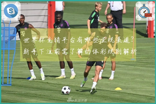 世界杯竞猜平台有哪些正规渠道？新手下注前需了解的体彩规则解析